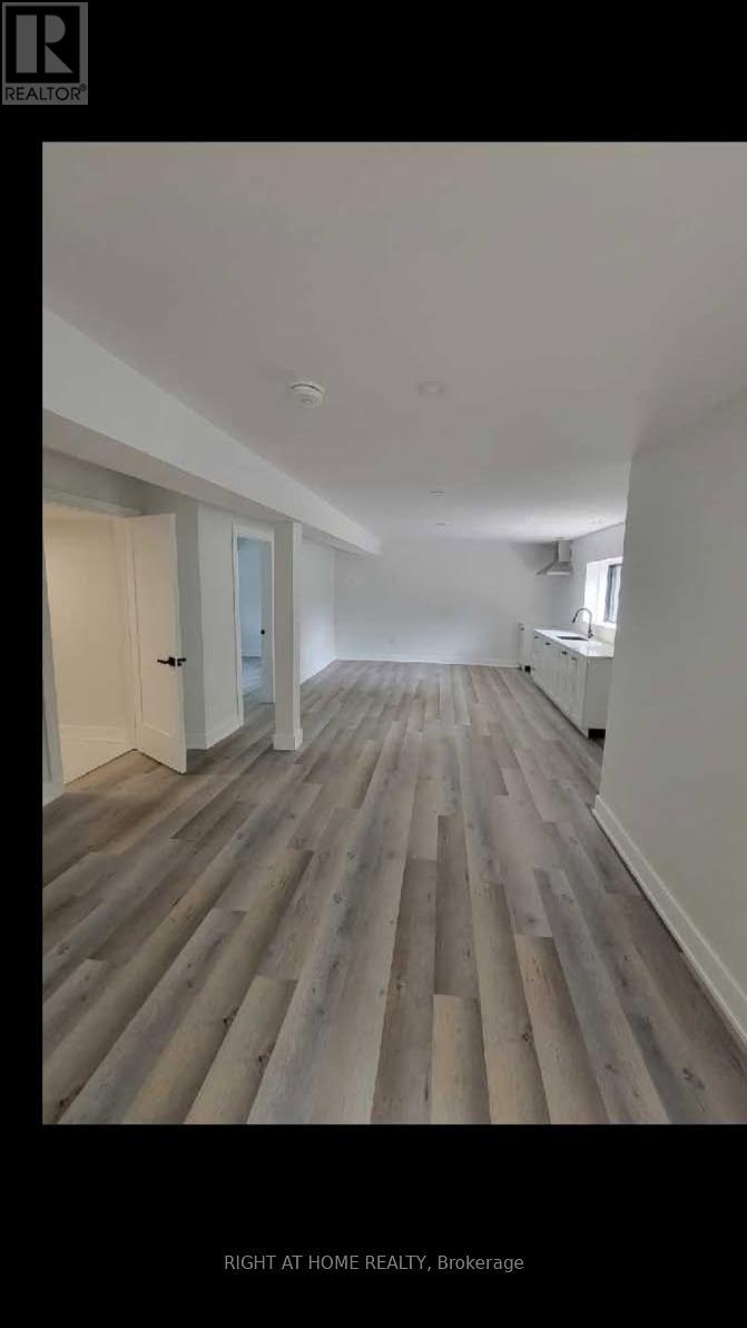 Lower Level - 215 Bayview Avenue, Georgina, Ontario  L4P 2T3 - Photo 4 - N12631364