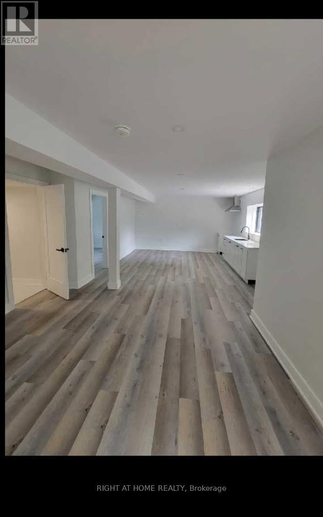 Lower Level - 215 Bayview Avenue, Georgina, Ontario  L4P 2T3 - Photo 5 - N12631364