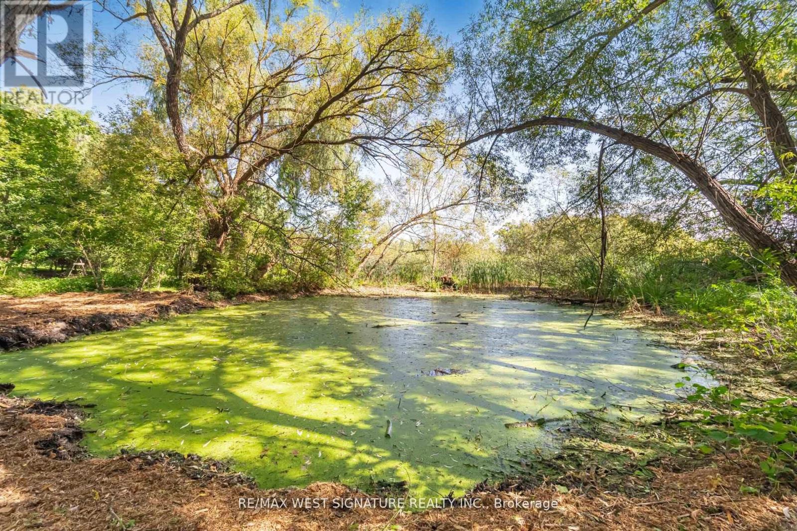 368 Main Street, King, Ontario  L0G 1T0 - Photo 36 - N12686846