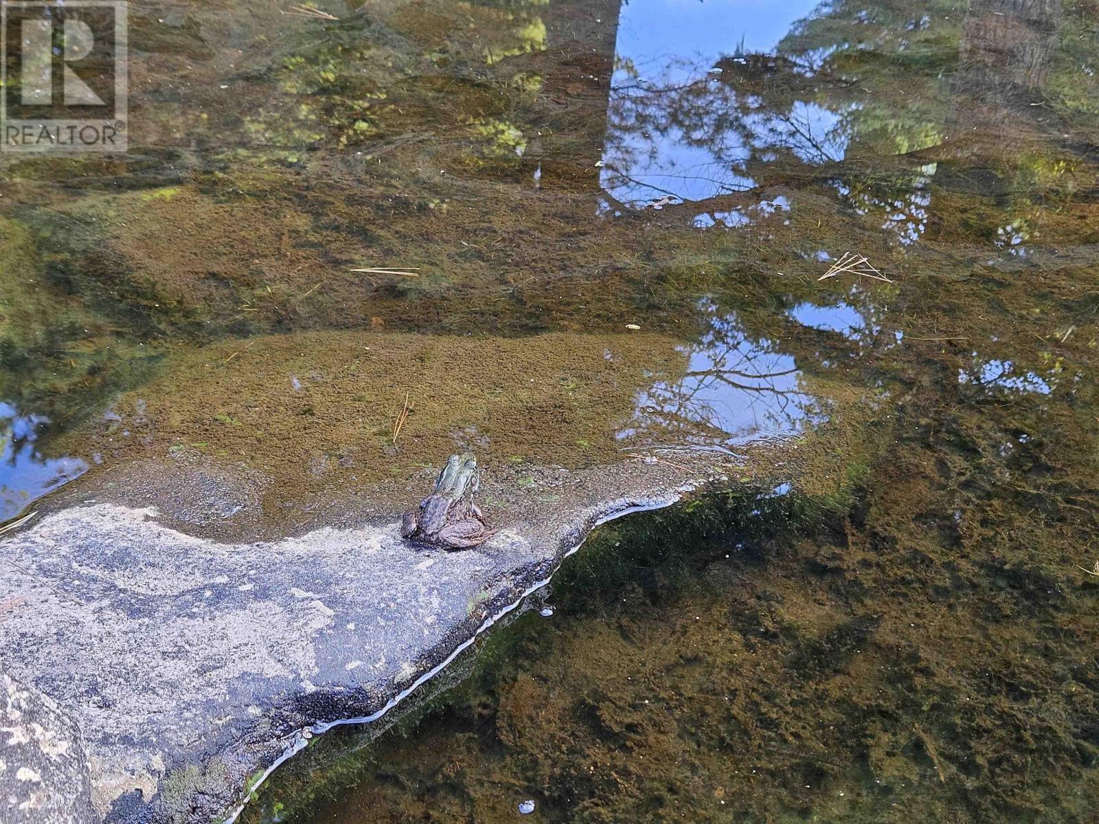 514 Meaugher One Road, Hibernia, Nova Scotia  B0T 1B0 - Photo 32 - 202523705