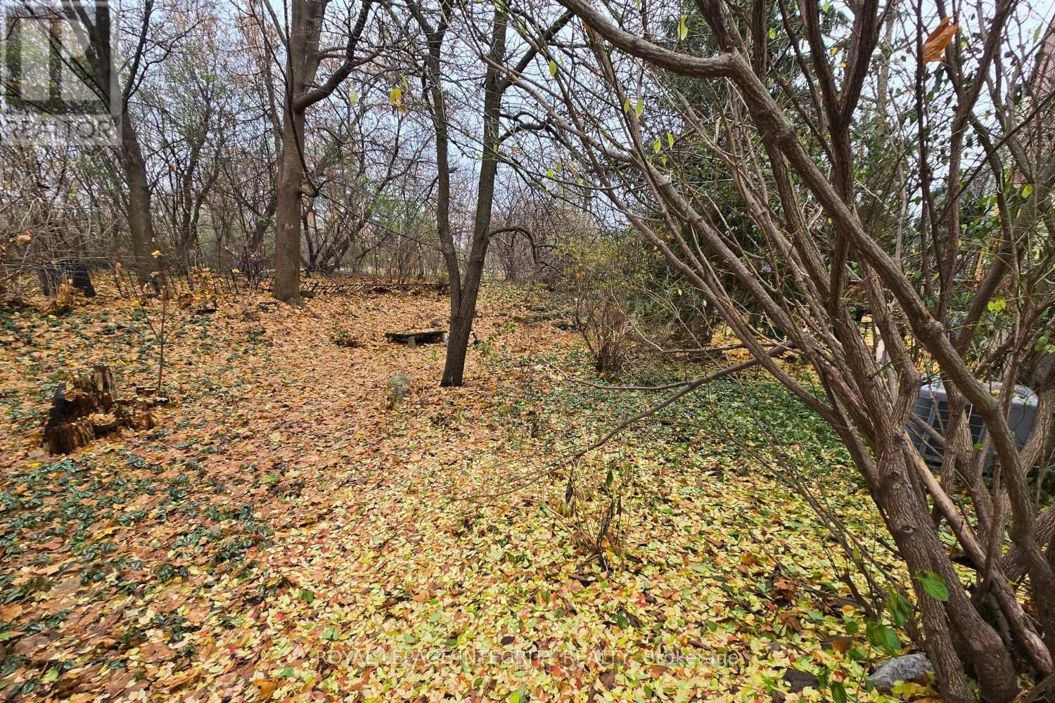 297 1/2 Crichton Street, Ottawa, Ontario  K1M 1W3 - Photo 11 - X12687068