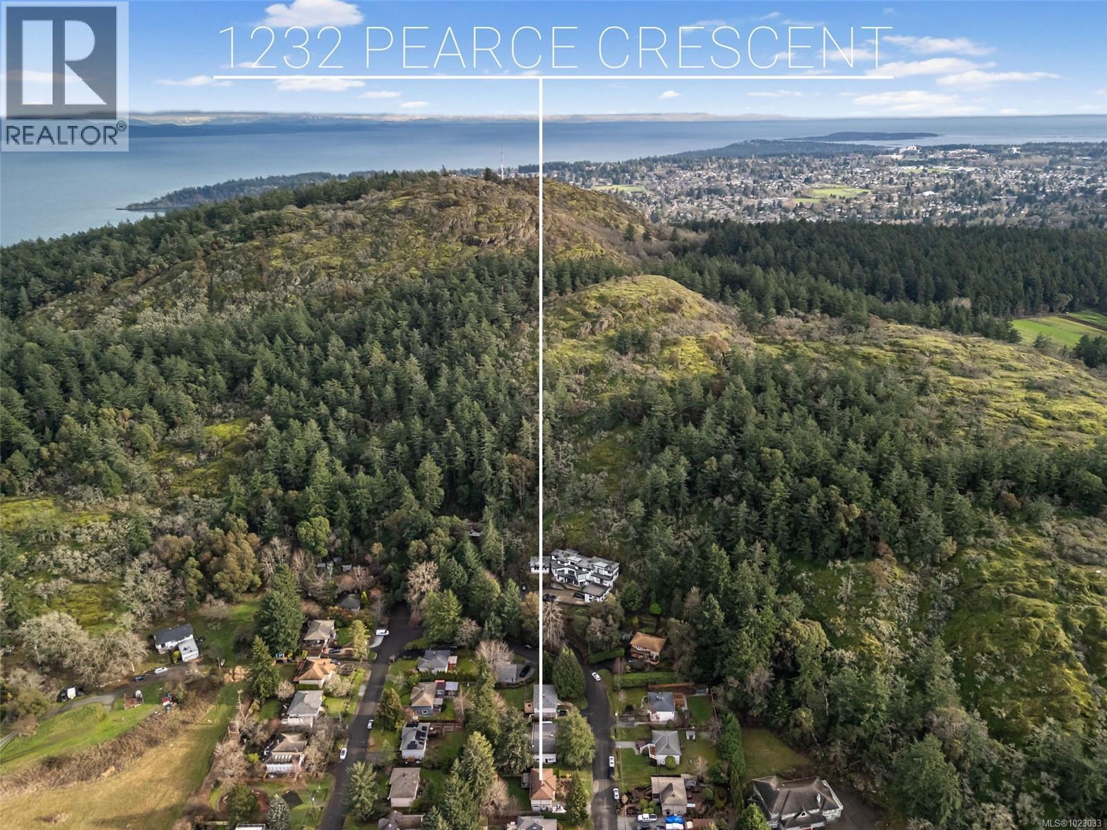 1232 Pearce Cres, Saanich, British Columbia  V8X 3S9 - Photo 30 - 1023033