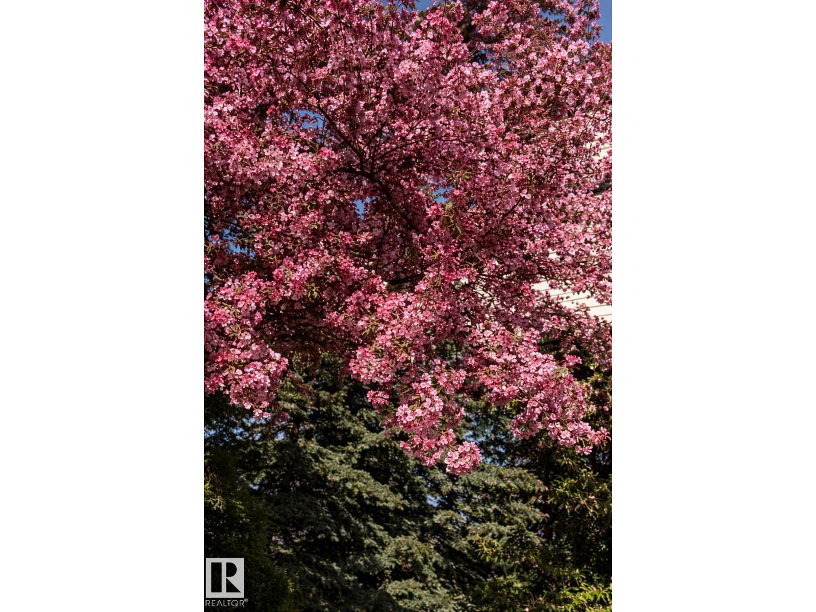 17607 55 Av Nw, Edmonton, Alberta  T6M 1C8 - Photo 56 - E4469392