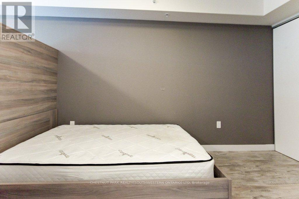 217 - 257 Hemlock Street, Waterloo, Ontario  N2L 0K2 - Photo 17 - X12687042