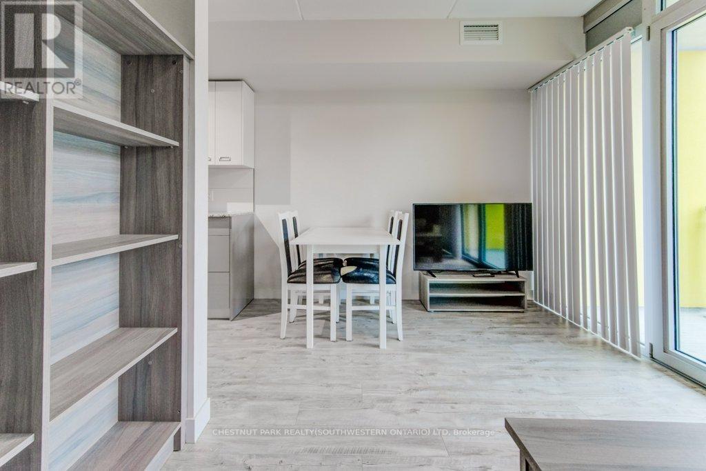 217 - 257 Hemlock Street, Waterloo, Ontario  N2L 0K2 - Photo 23 - X12687042