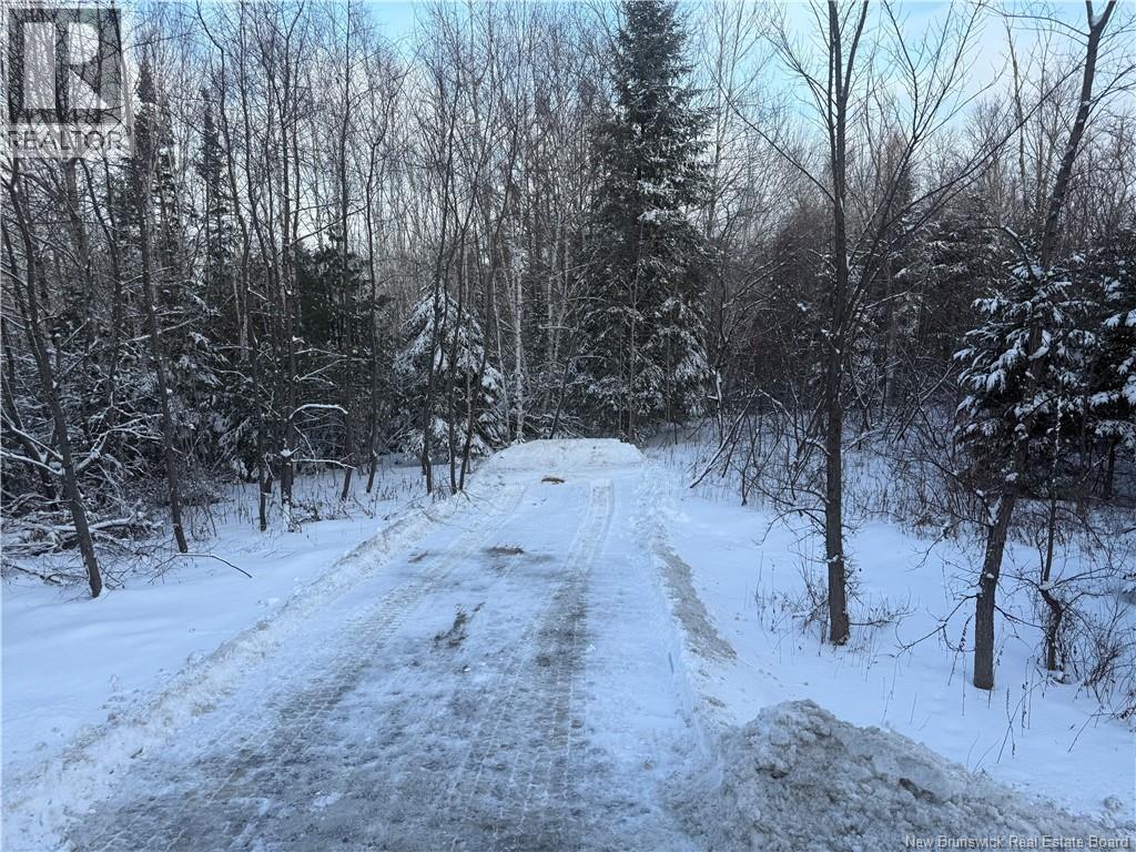 <h3>$29,500</h3><p>Lot Main Street, Doaktown, New Brunswick</p>