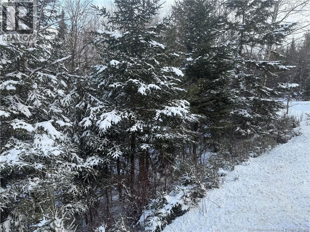 Lot Main Street, Doaktown, New Brunswick  E9C 1A3 - Photo 2 - NB132014