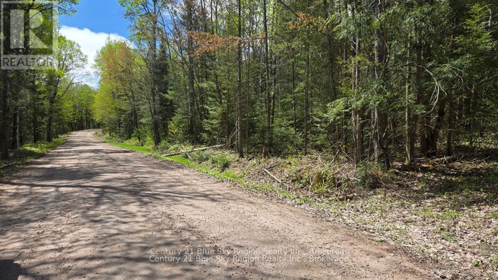 Pt Lt 10 Con 16 Village Road, Chisholm, Ontario  P0H 1Z0 - Photo 3 - X12687402