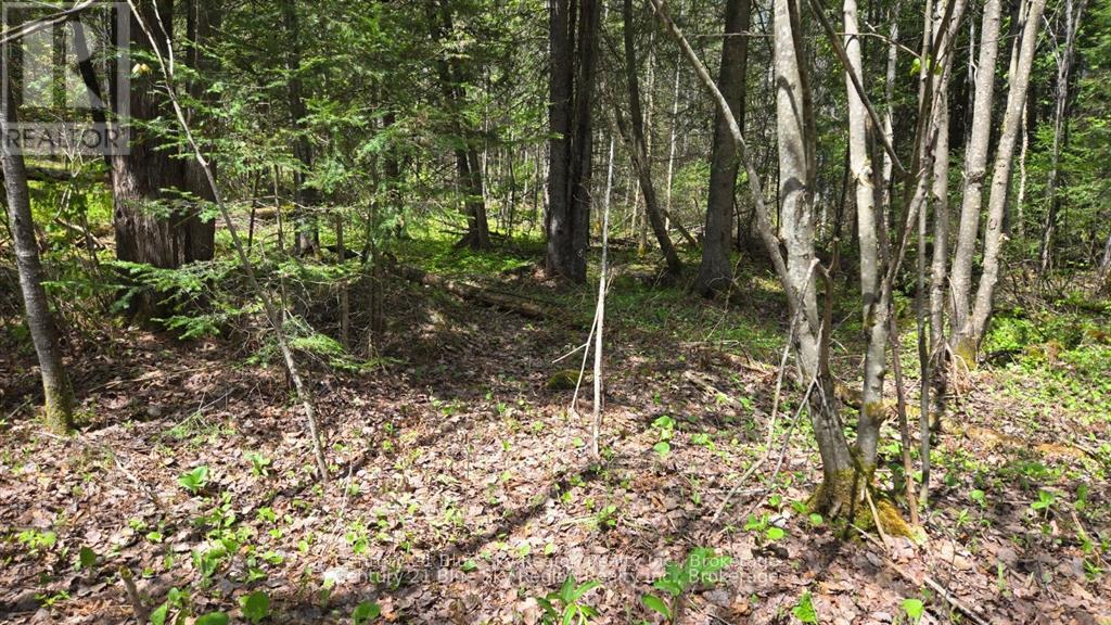 Pt Lt 10 Con 16 Village Road, Chisholm, Ontario  P0H 1Z0 - Photo 4 - X12687402