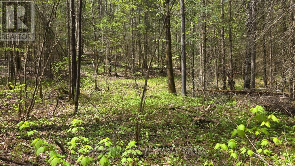 Pt Lt 10 Con 16 Village Road, Chisholm, Ontario  P0H 1Z0 - Photo 5 - X12687402