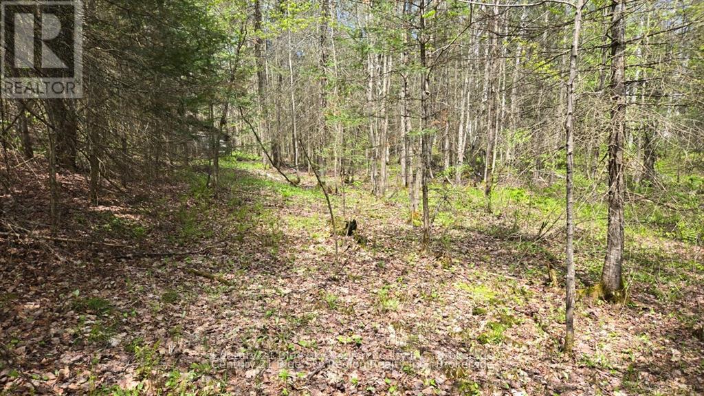 Pt Lt 10 Con 16 Village Road, Chisholm, Ontario  P0H 1Z0 - Photo 6 - X12687402