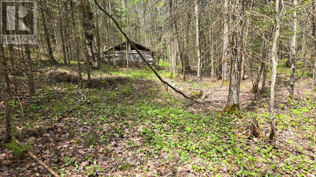 Pt Lt 10 Con 16 Village Road, Chisholm, Ontario  P0H 1Z0 - Photo 7 - X12687402