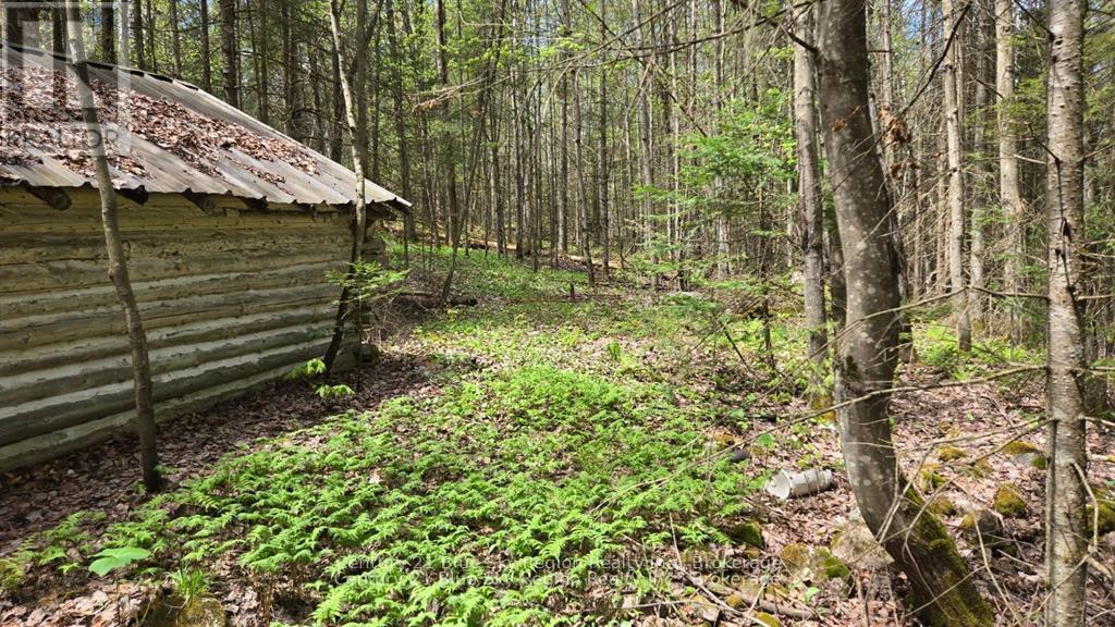 Pt Lt 10 Con 16 Village Road, Chisholm, Ontario  P0H 1Z0 - Photo 8 - X12687402