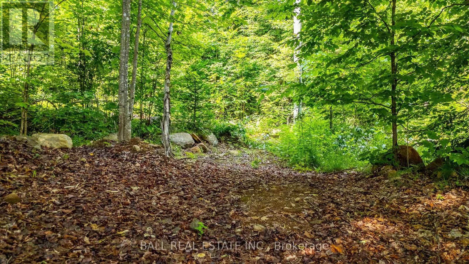 2430 Hadlington Road, Highlands East, Ontario  K0L 3C0 - Photo 41 - X12687510