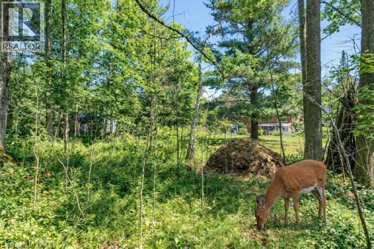 5600 Cedar Springs Road, Burlington, Ontario  L7P 0B9 - Photo 39 - 40786218