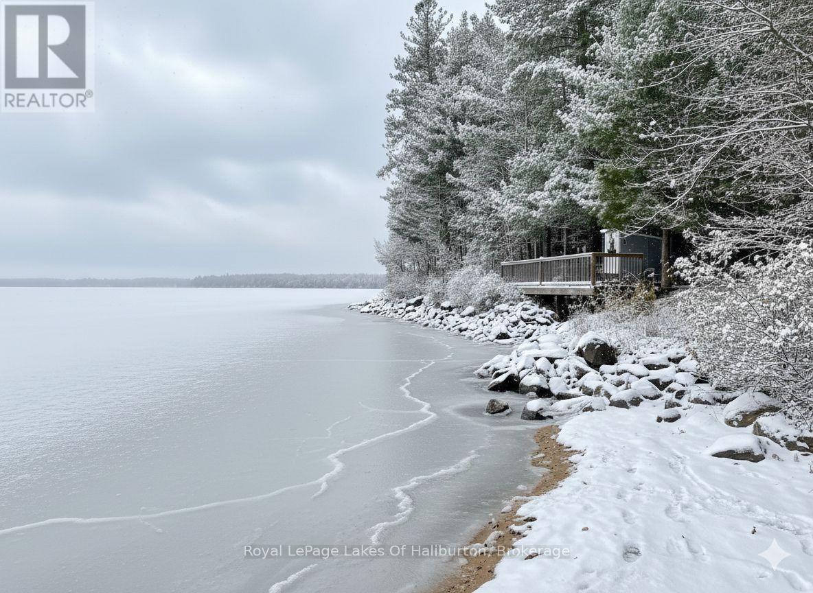 0 Hwy 35, Algonquin Highlands, Ontario  K0M 1S0 - Photo 2 - X12116185