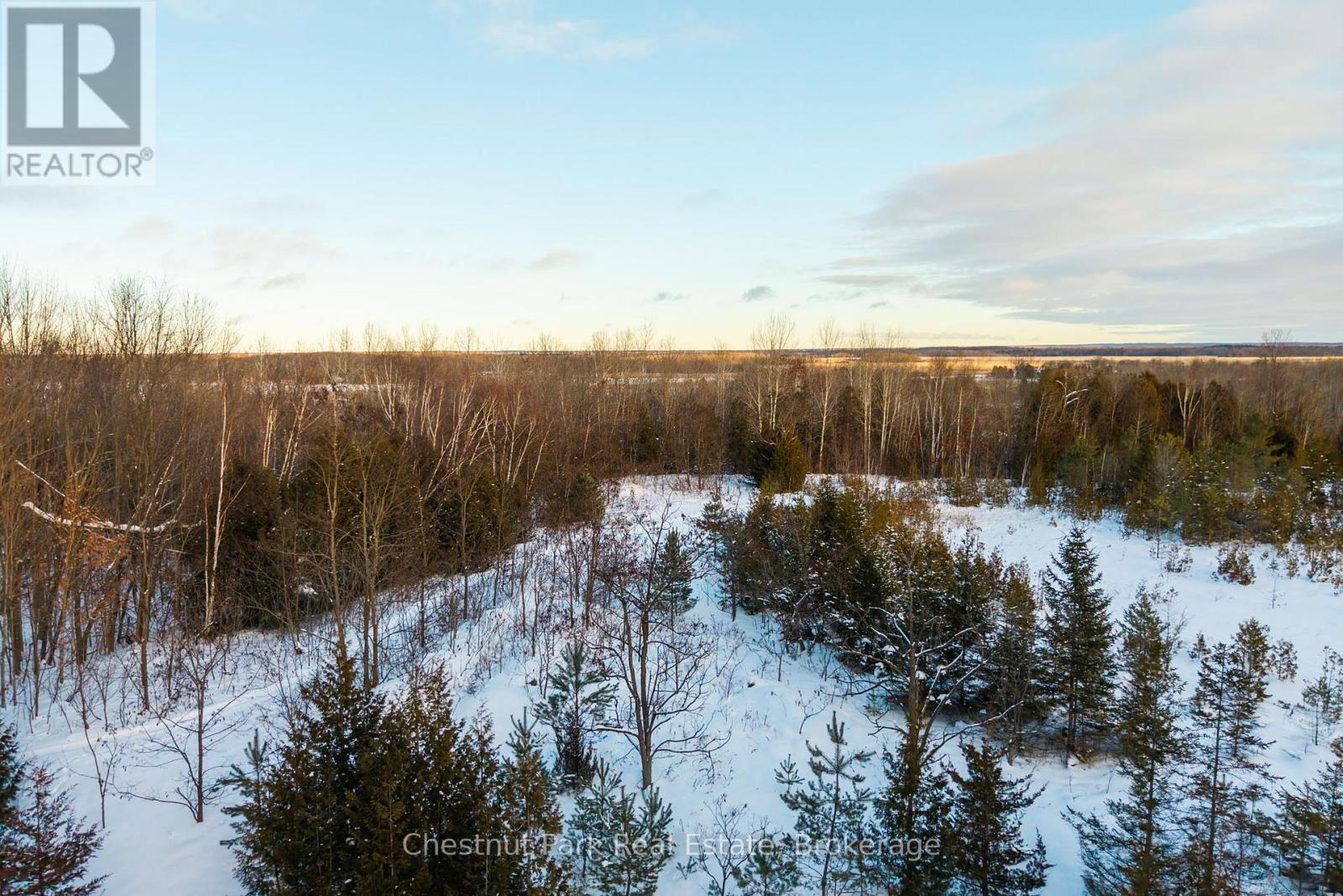 2970 Fesserton Side Road, Severn (Fesserton), Ontario  L0K 2C0 - Photo 17 - S12687548