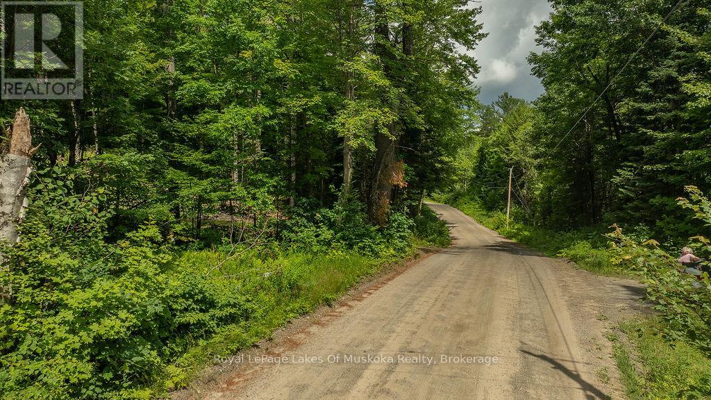 0000 Ril Lake Road S, Lake Of Bays, Ontario  P0B 1A0 - Photo 2 - X12687612