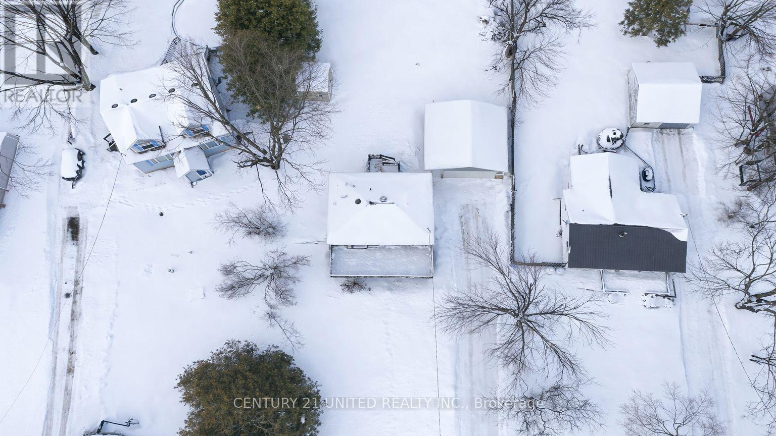 17 Lawrence Street S, Kawartha Lakes, Ontario  K9J 6X3 - Photo 2 - X12687634