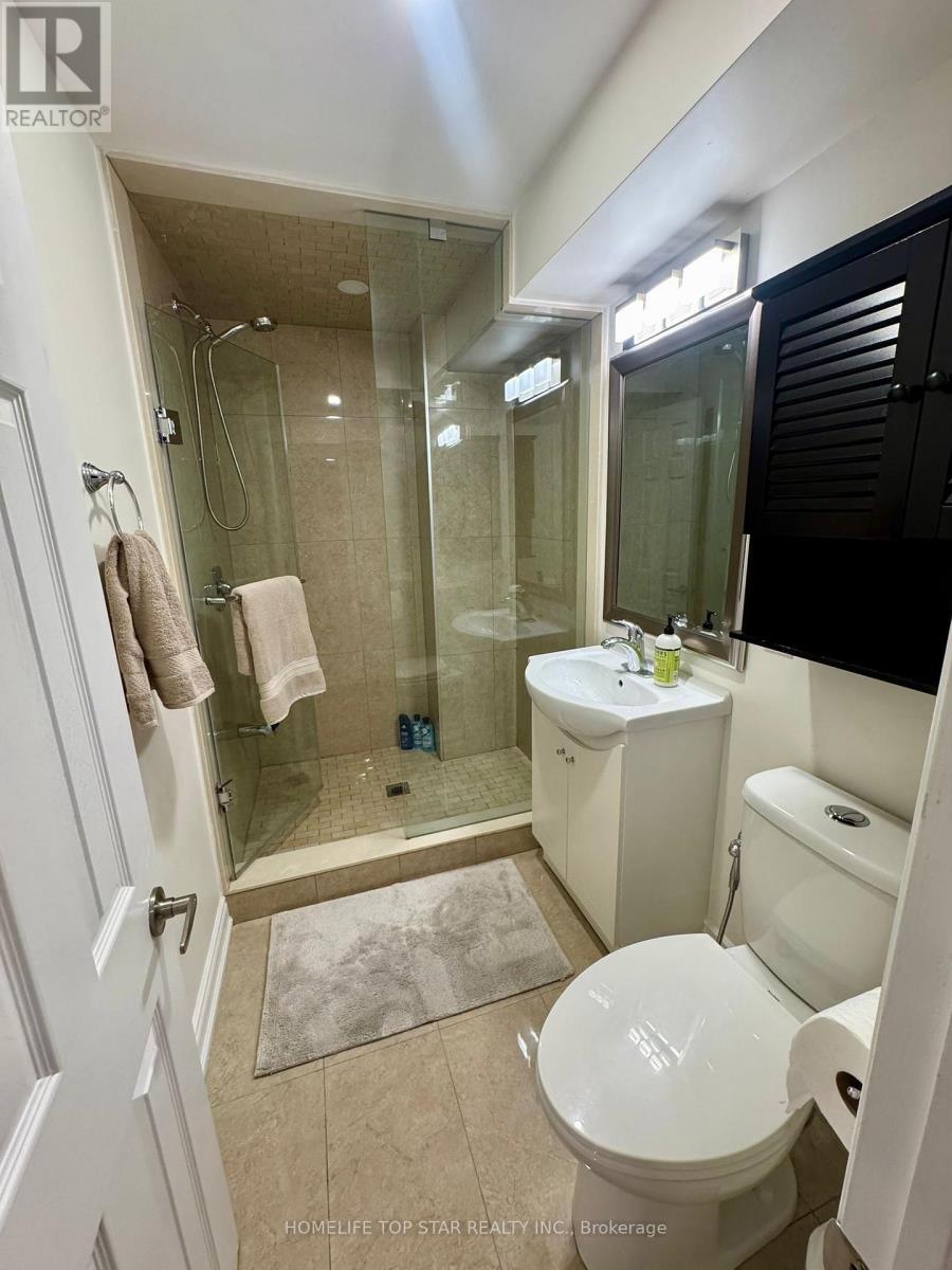 Basement( Bachelor ) - 62 Lowther Avenue, Richmond Hill, Ontario  L4E 0T3 - Photo 2 - N12687676