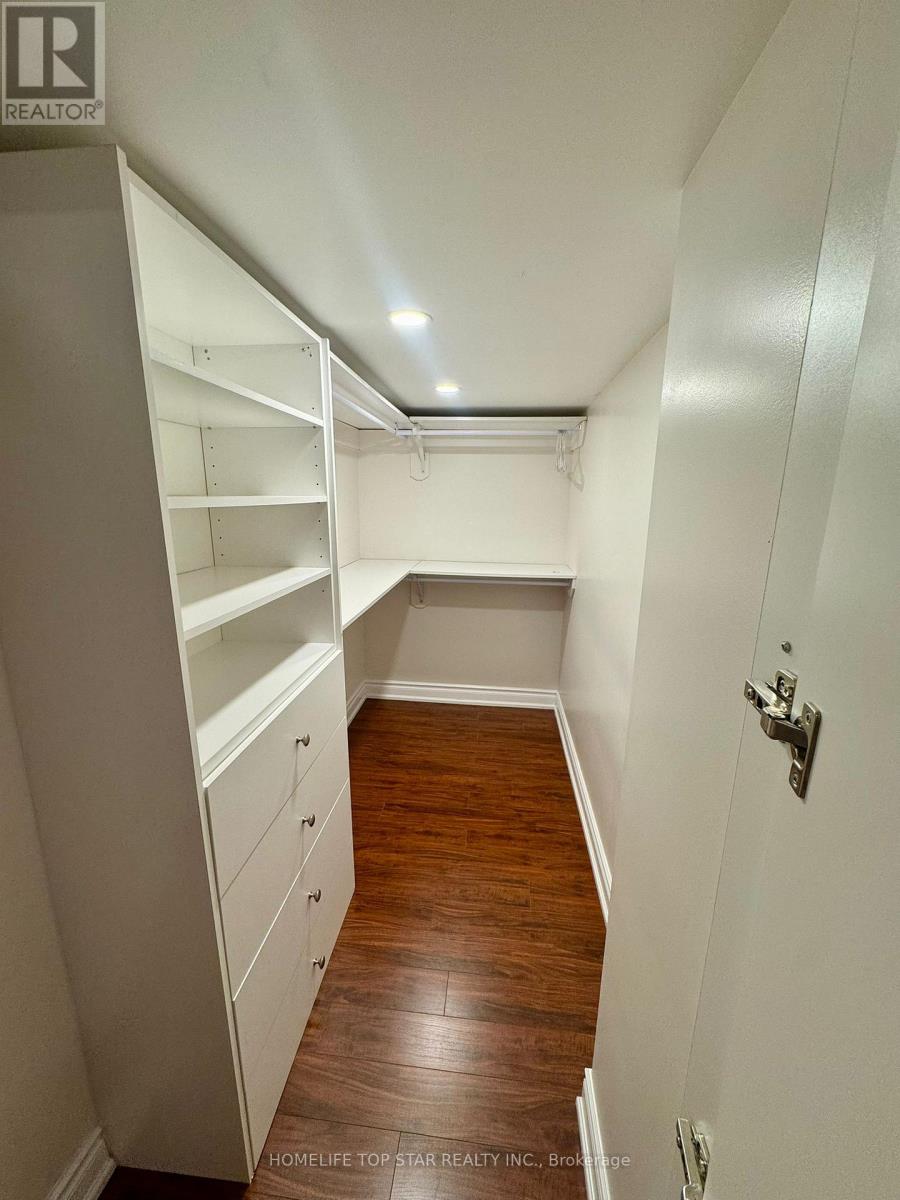 Basement( Bachelor ) - 62 Lowther Avenue, Richmond Hill, Ontario  L4E 0T3 - Photo 3 - N12687676