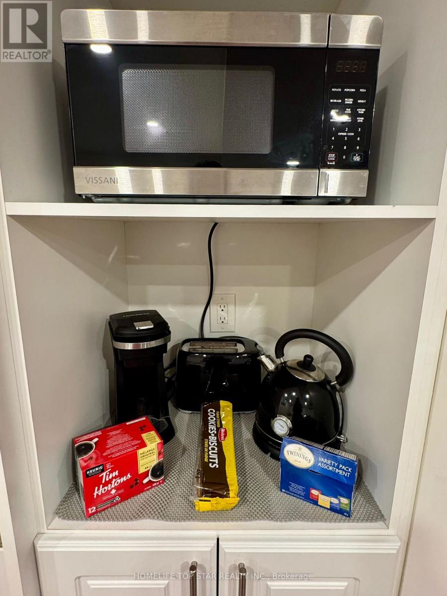 Basement( Bachelor ) - 62 Lowther Avenue, Richmond Hill, Ontario  L4E 0T3 - Photo 8 - N12687676