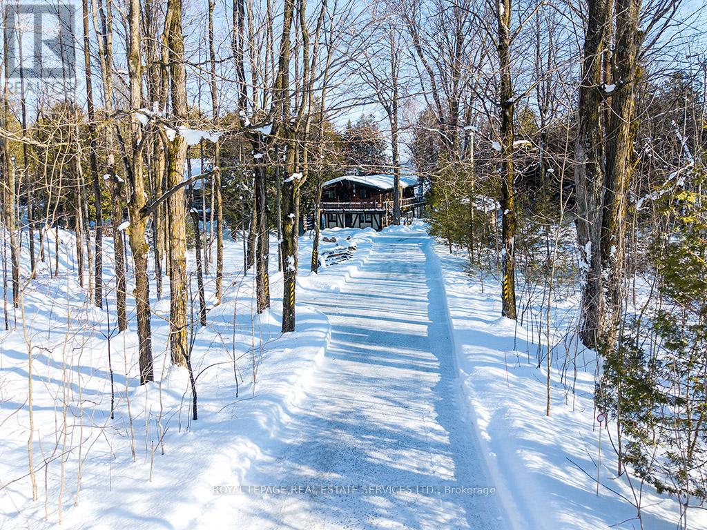 157 Bowles Bluff Road, Grey Highlands, Ontario  N0C 1H0 - Photo 2 - X12687378