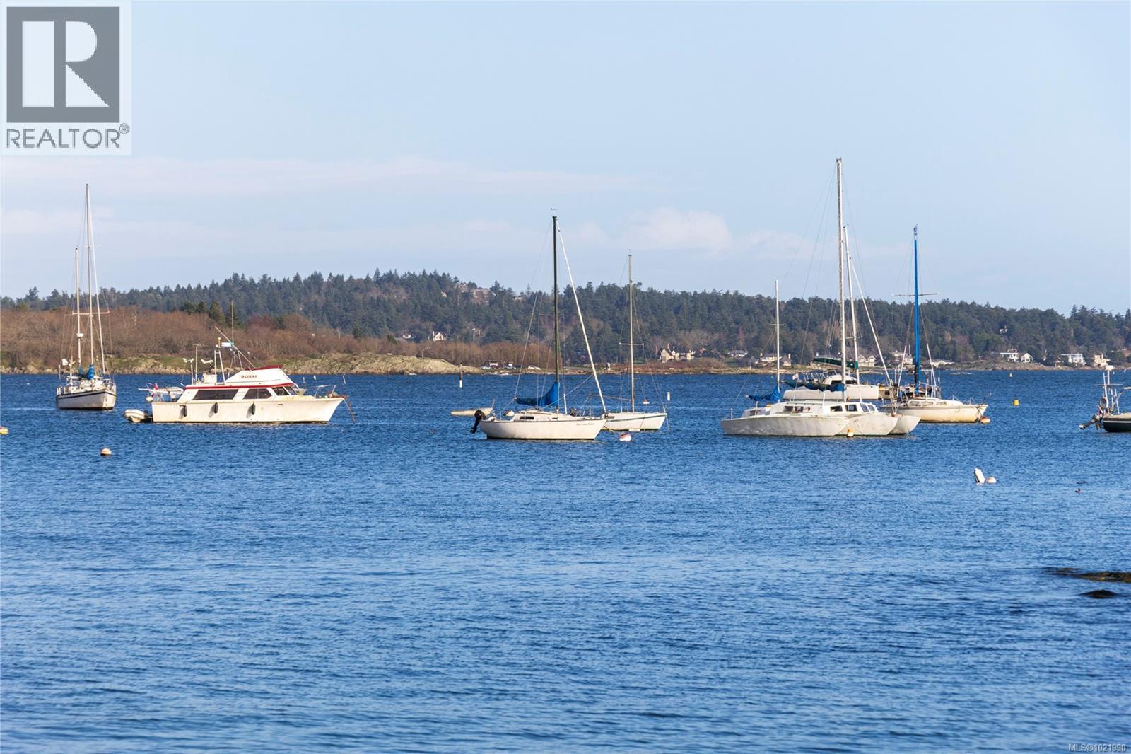 503 2605 Windsor Rd, Oak Bay, British Columbia  V8S 5H9 - Photo 37 - 1021990