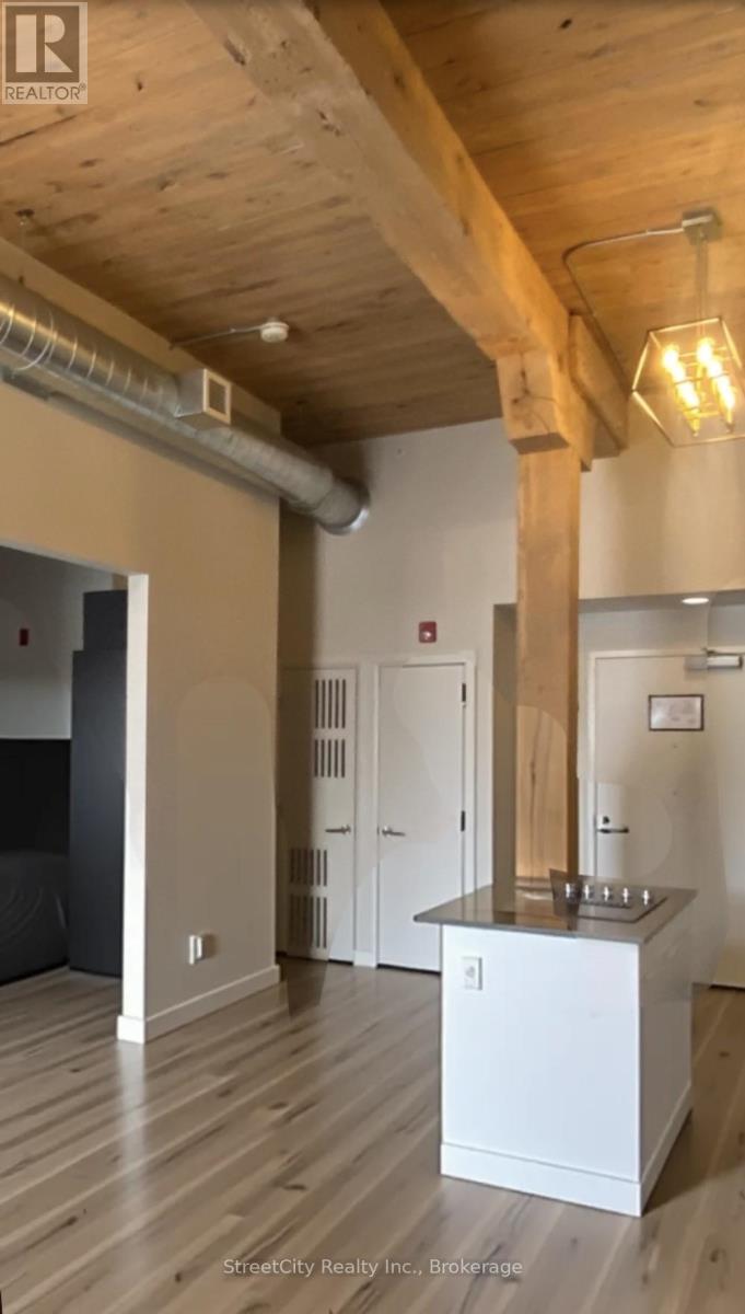 104 - 245 Downie Street, Stratford, Ontario N5A 1X5 - Photo 13 - X12394270