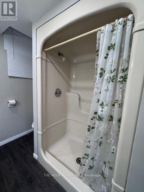 Bsmt - 38 Orchard Park Drive, Clarington, Ontario  L1C 4E1 - Photo 12 - E12687892