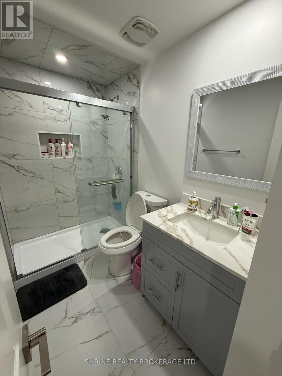 Basement - 166 Byers Street, London South, Ontario  P0H 1H0 - Photo 2 - X12687840