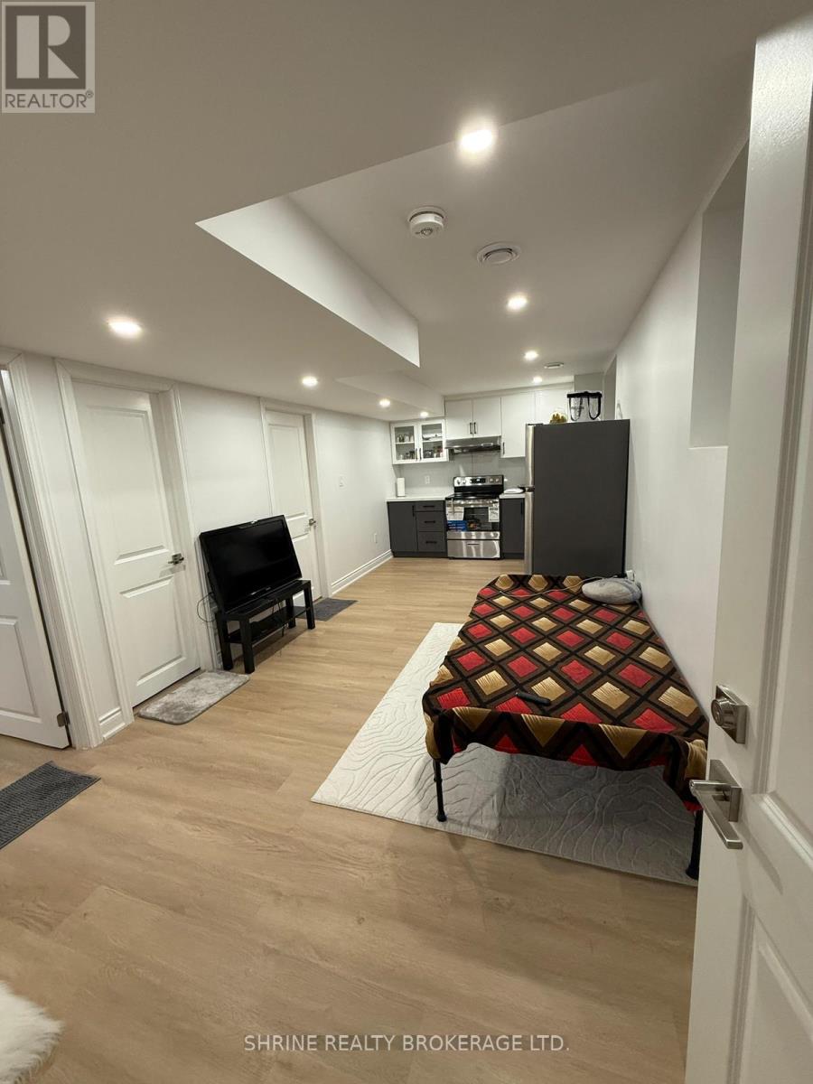 Basement - 166 Byers Street, London South, Ontario  P0H 1H0 - Photo 3 - X12687840