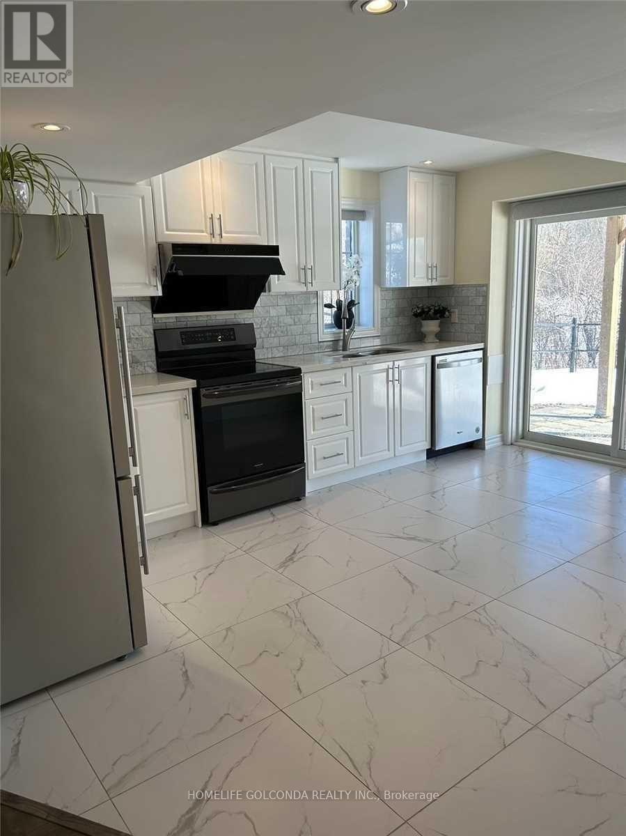 Basement - 49 Roy Harper Avenue, Aurora, Ontario  L4G 0V4 - Photo 3 - N12687760