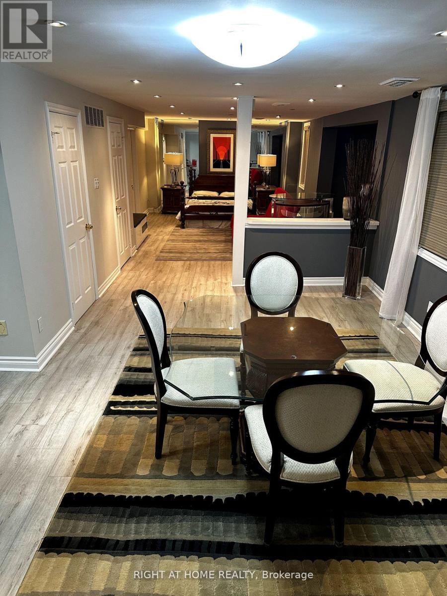 Lower - 974 Creebridge Crescent, Newmarket, Ontario  L3X 1P1 - Photo 3 - N12687794