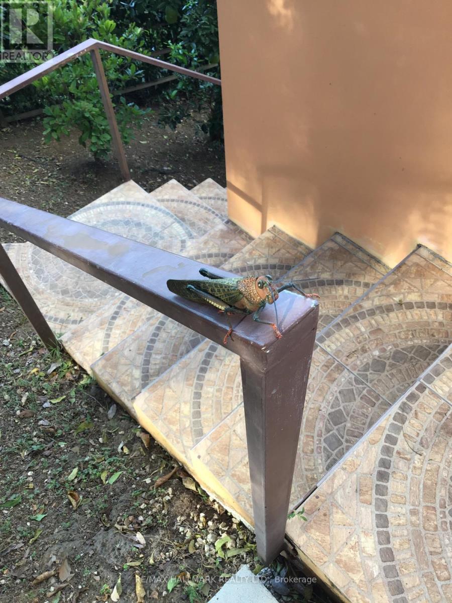 49 Par-A Court, Costa Rica, Ontario   - Photo 26 - X12687852