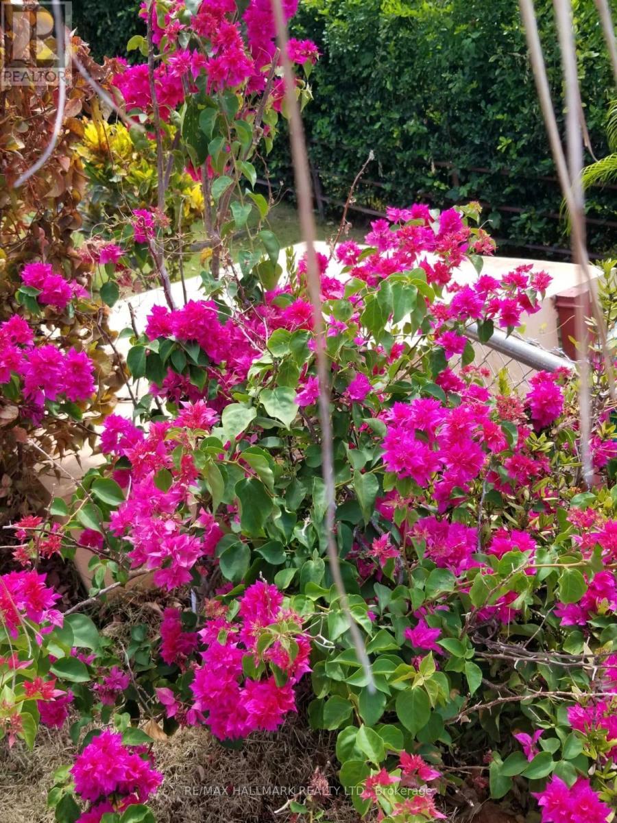 49 Par-A Court, Costa Rica, Ontario   - Photo 32 - X12687852