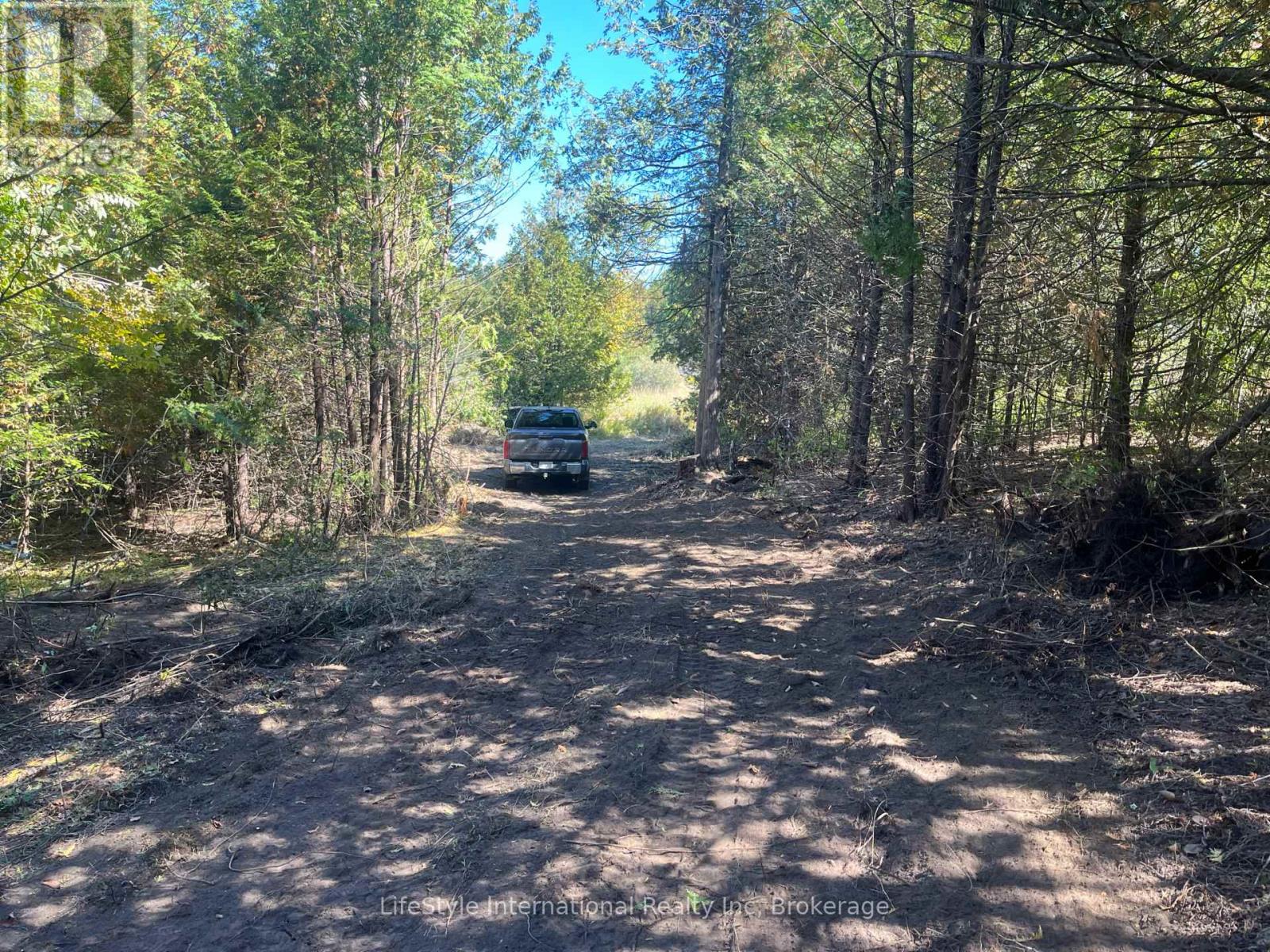 213 Vansickle Road, Havelock-Belmont-Methuen, Ontario  K0L 1Z0 - Photo 10 - X12688054