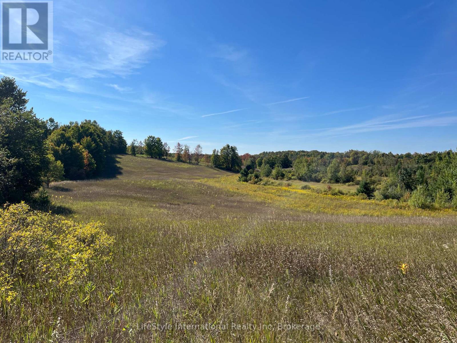 213 Vansickle Road, Havelock-Belmont-Methuen, Ontario  K0L 1Z0 - Photo 15 - X12688054