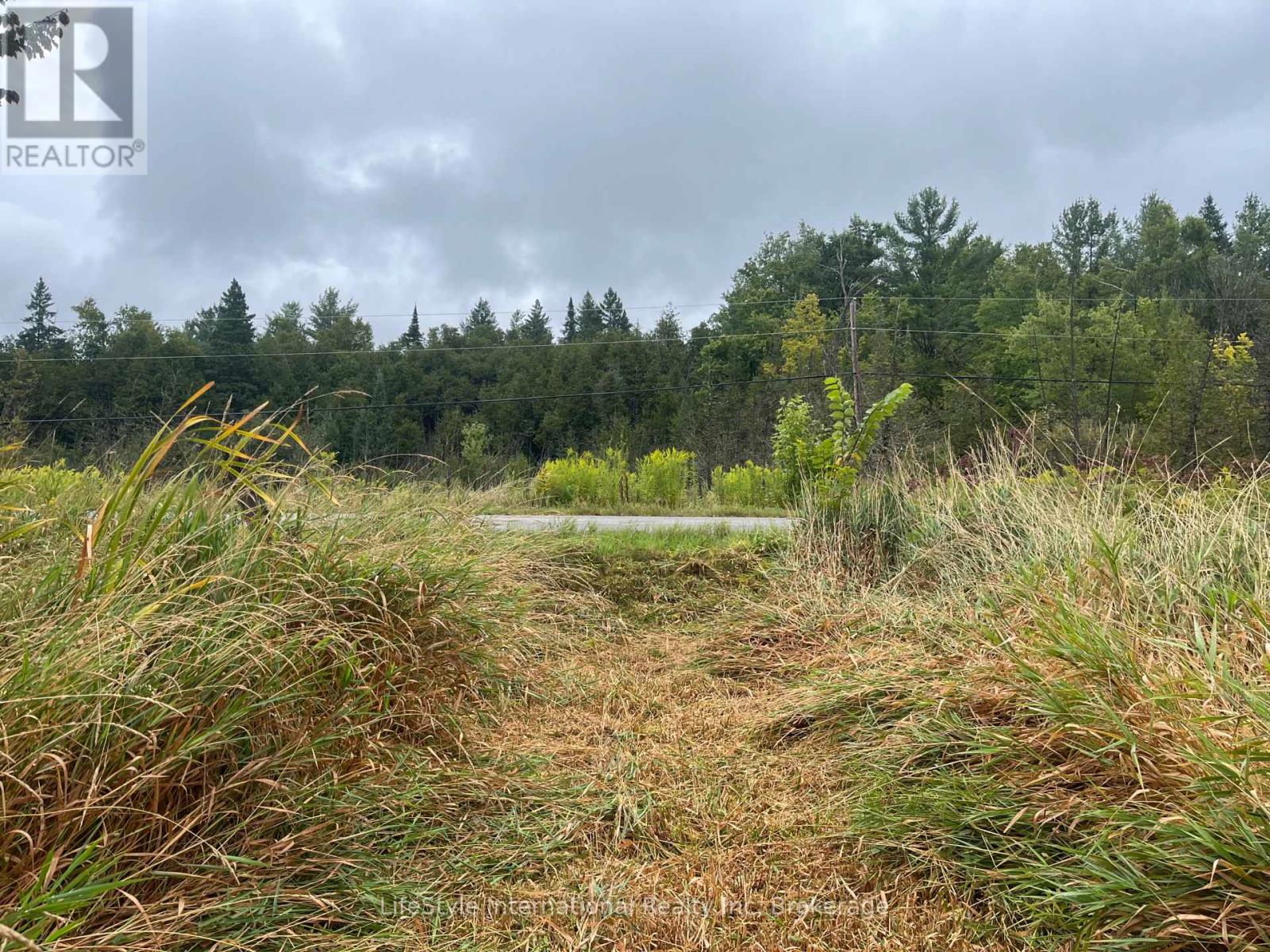 213 Vansickle Road, Havelock-Belmont-Methuen, Ontario  K0L 1Z0 - Photo 16 - X12688054