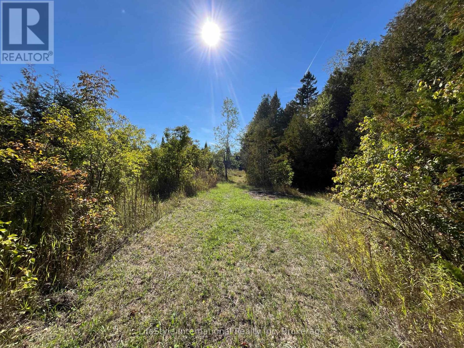 213 Vansickle Road, Havelock-Belmont-Methuen, Ontario  K0L 1Z0 - Photo 3 - X12688054