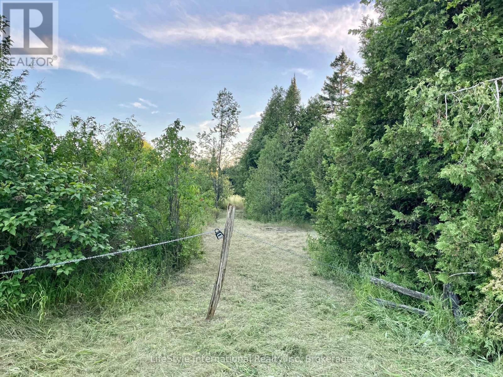 213 Vansickle Road, Havelock-Belmont-Methuen, Ontario  K0L 1Z0 - Photo 5 - X12688054