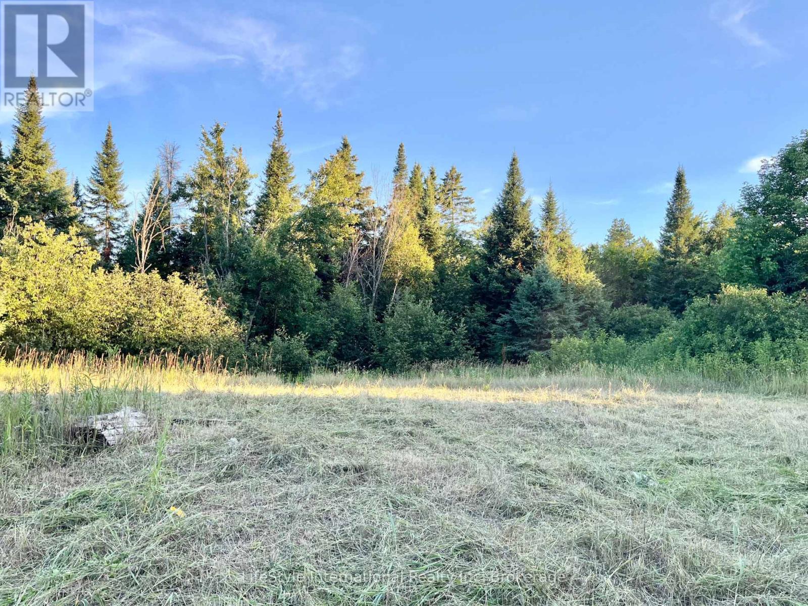 213 Vansickle Road, Havelock-Belmont-Methuen, Ontario  K0L 1Z0 - Photo 6 - X12688054