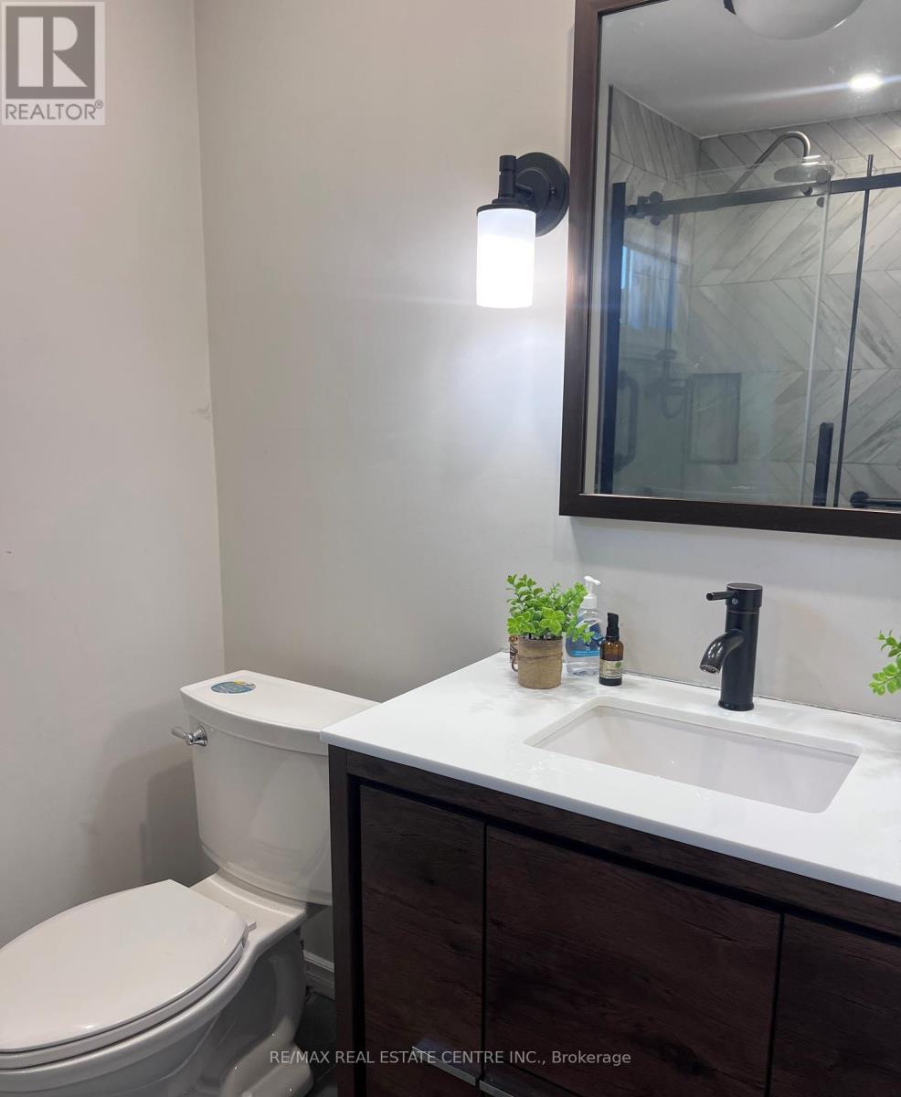 4358 Bacchus Crescent, Mississauga, Ontario  L4W 2Y3 - Photo 14 - W12688140