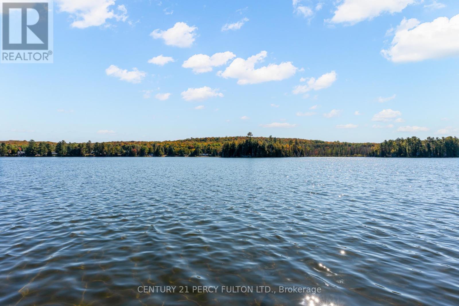 15166 Highway 118, Dysart Et Al, Ontario  K0M 1S0 - Photo 48 - X12687910