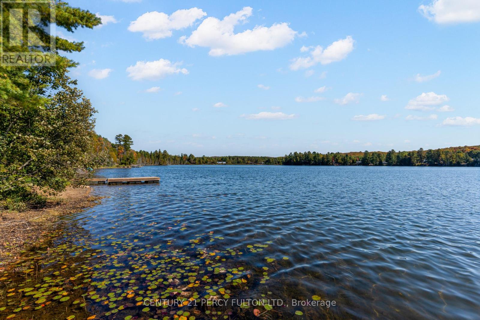 15166 Highway 118, Dysart Et Al, Ontario  K0M 1S0 - Photo 49 - X12687910