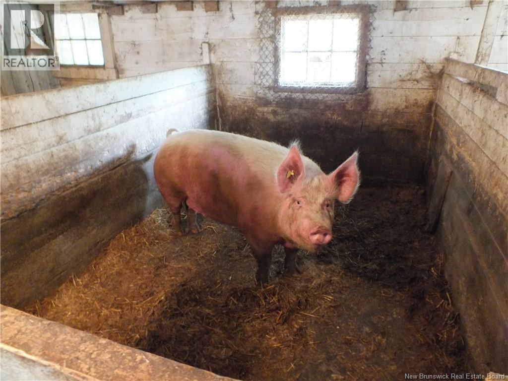 59 Kiburn Road, Kilburn, New Brunswick  E7H 1J5 - Photo 41 - NB132016