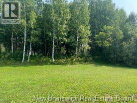 1880-1890 Gowan Brae Drive, Bathurst, New Brunswick  E2A 4X5 - Photo 5 - NB131941