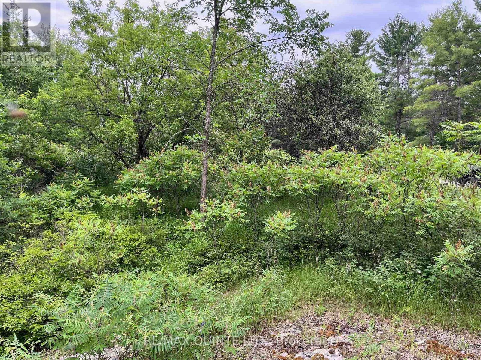 0 (Pin - 40264-0091) Potter Settlement Road, Tweed, Ontario  K0K 3J0 - Photo 2 - X12688232