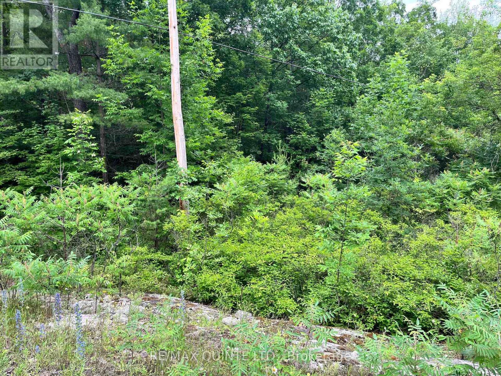 0 (Pin - 40264-0091) Potter Settlement Road, Tweed, Ontario  K0K 3J0 - Photo 3 - X12688232