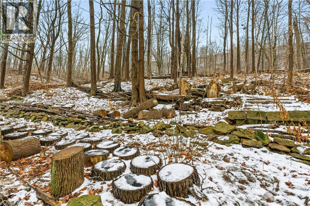 82 Maple Drive, Stoney Creek, Ontario  L8G 3C2 - Photo 40 - 40797936